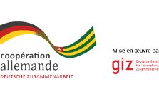 GIZ